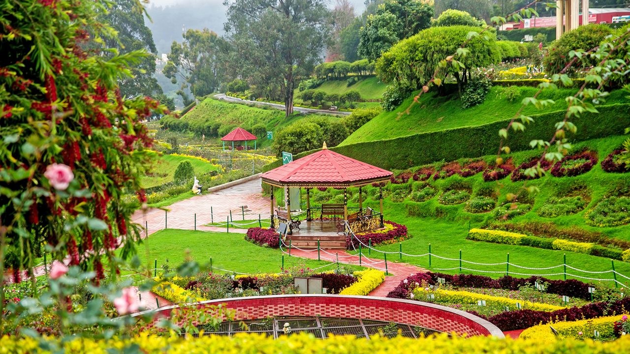 Ooty Coorg Combo